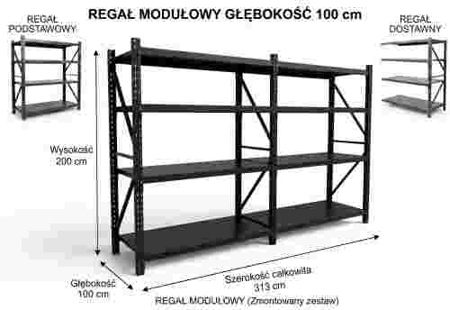313modul100DP4POLKIpolski.jpg